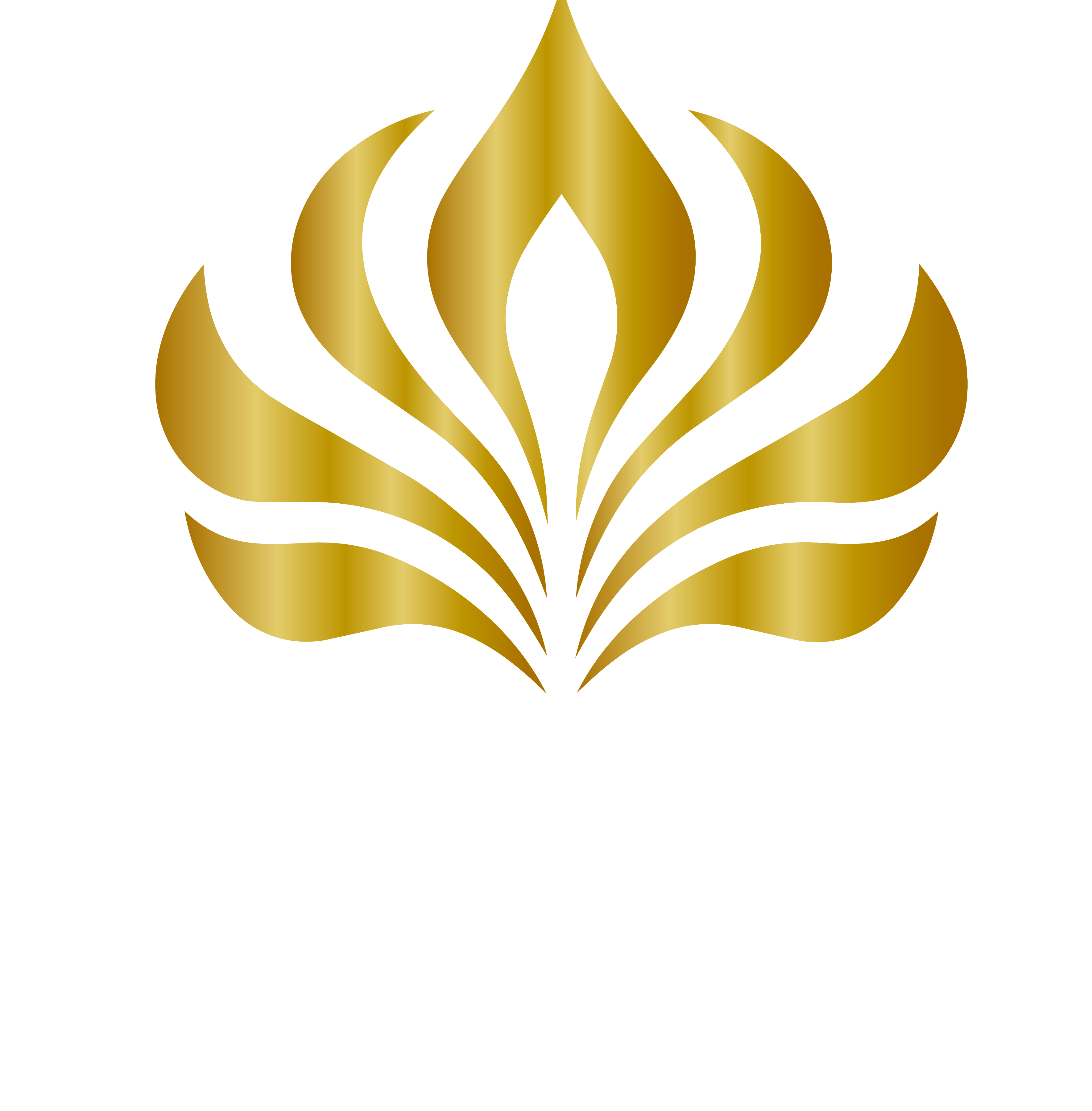 LUXO VIP TRANSFERS LLC